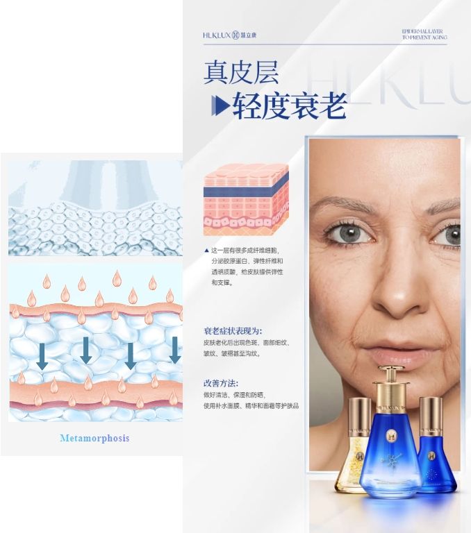 微信截图_20240603152656