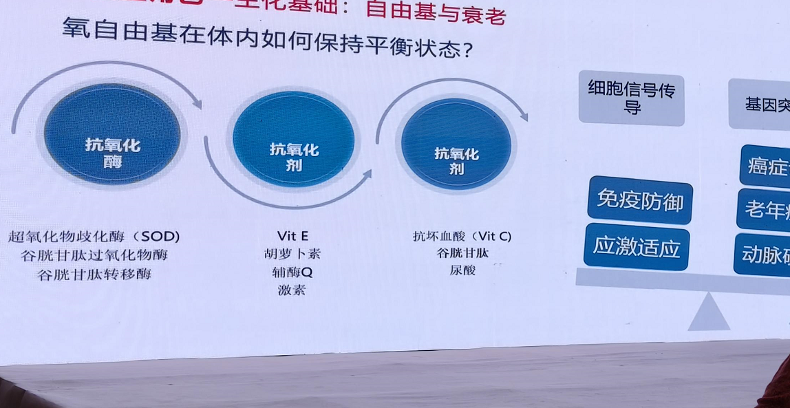 图 图